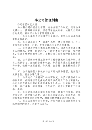 李公司管理规章制度 