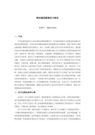 专业实习报告参考轿辰集团销售实习报告