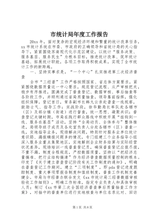 市统计局年度工作报告 