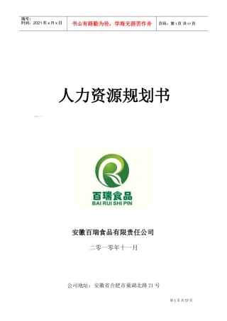 某某公司人力资源规划食品说明书