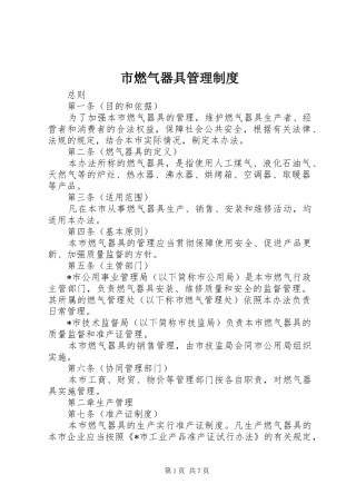 市燃气器具管理规章制度
