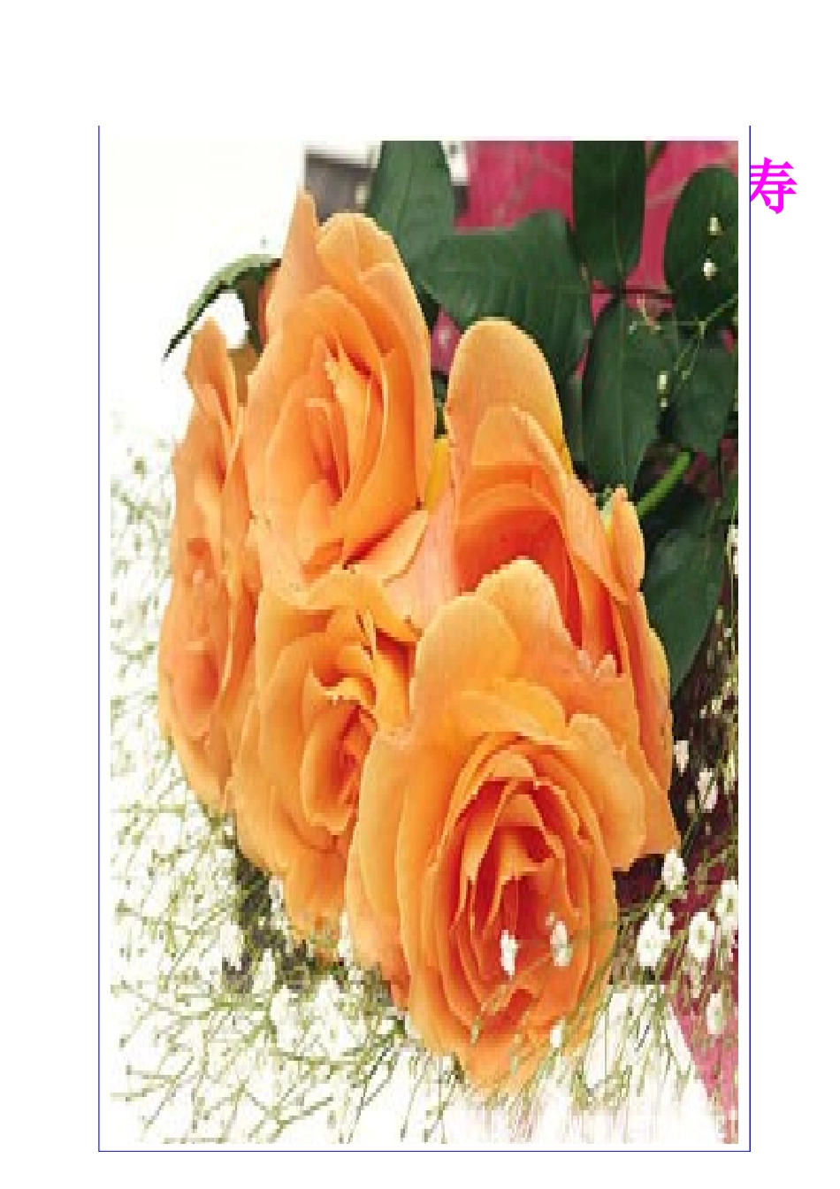 寿险营销书信集_第1页