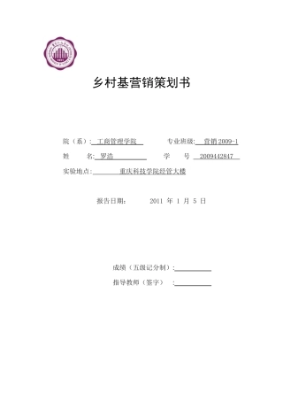 市场营销案例 罗浩