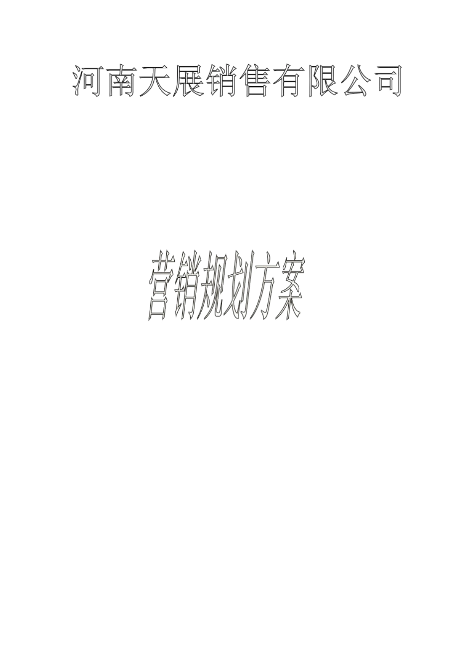天展照明营销规划方案_第1页