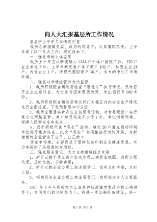 向人大汇报基层所工作情况 