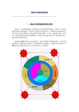IBM的营销策略分析