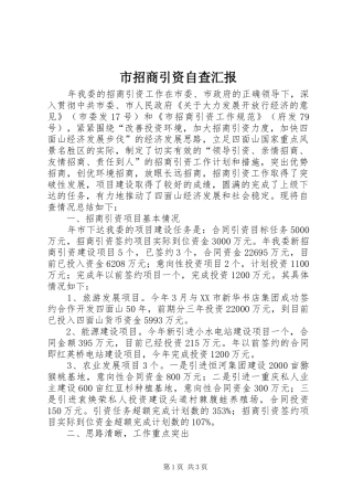 市招商引资自查汇报 