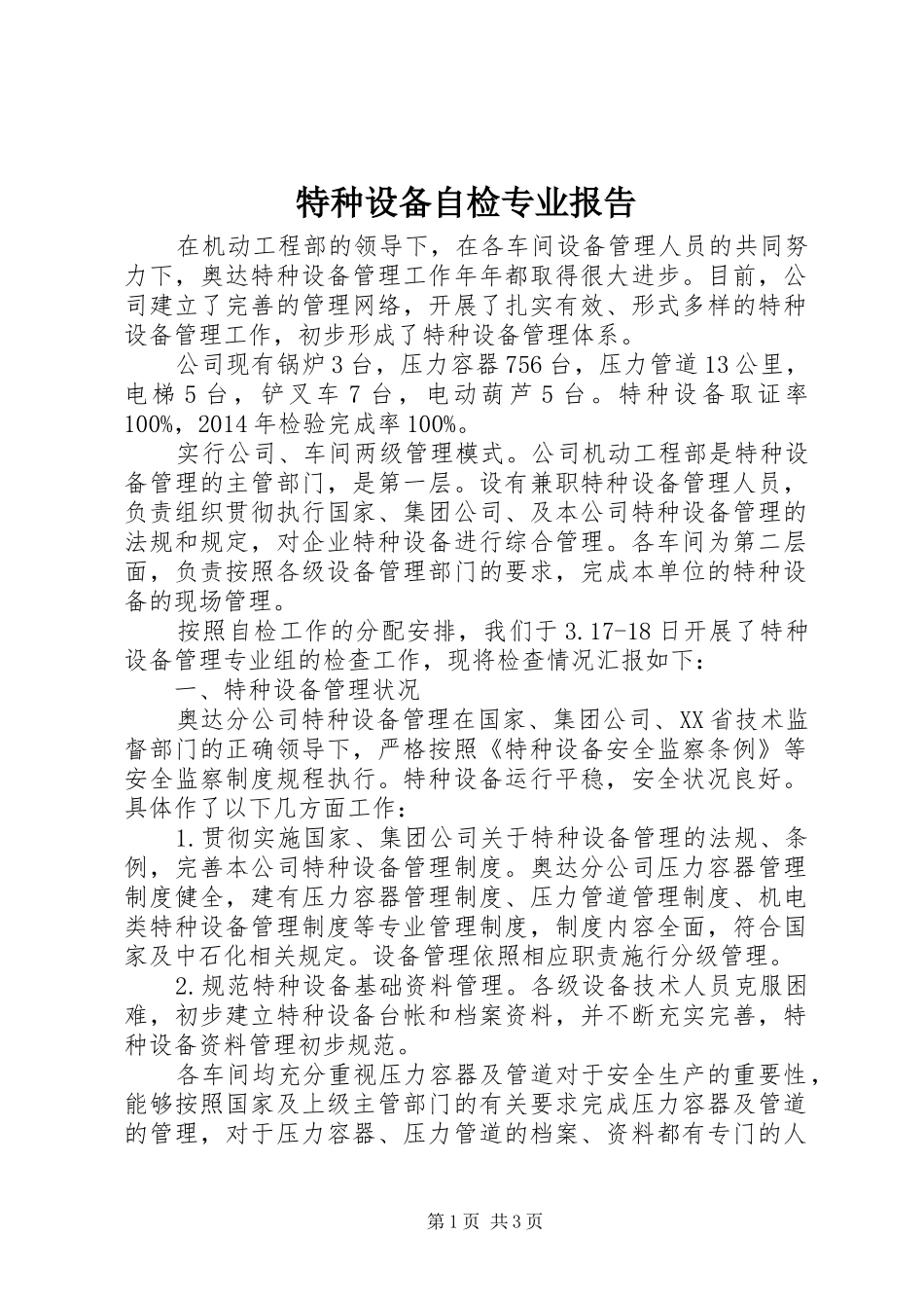 特种设备自检专业报告 _第1页
