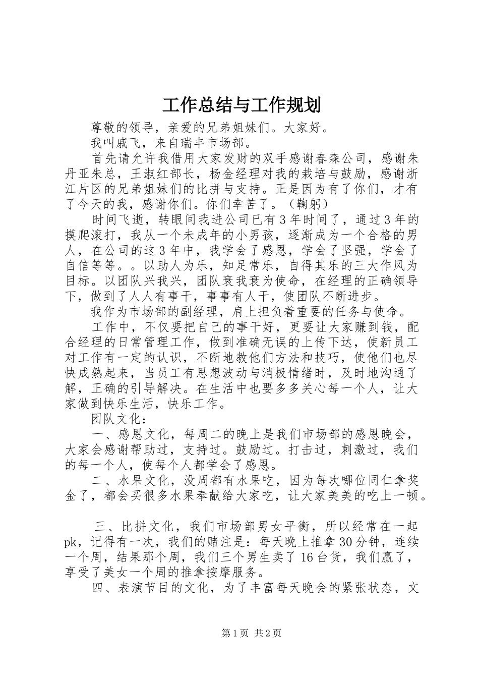 工作总结与工作规划_第1页