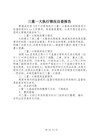 三重一大执行情况自查报告 