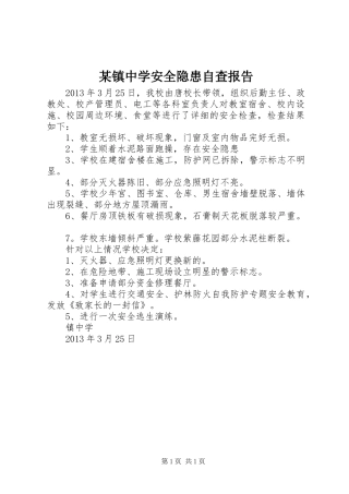 某镇中学安全隐患自查报告 