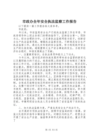 市政办全年安全执法监察工作报告 