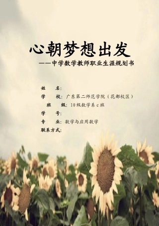 教师职业生涯规划书