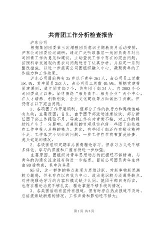 共青团工作分析检查报告 