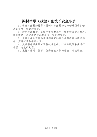 梁树中学（政教）副校长安全职责要求