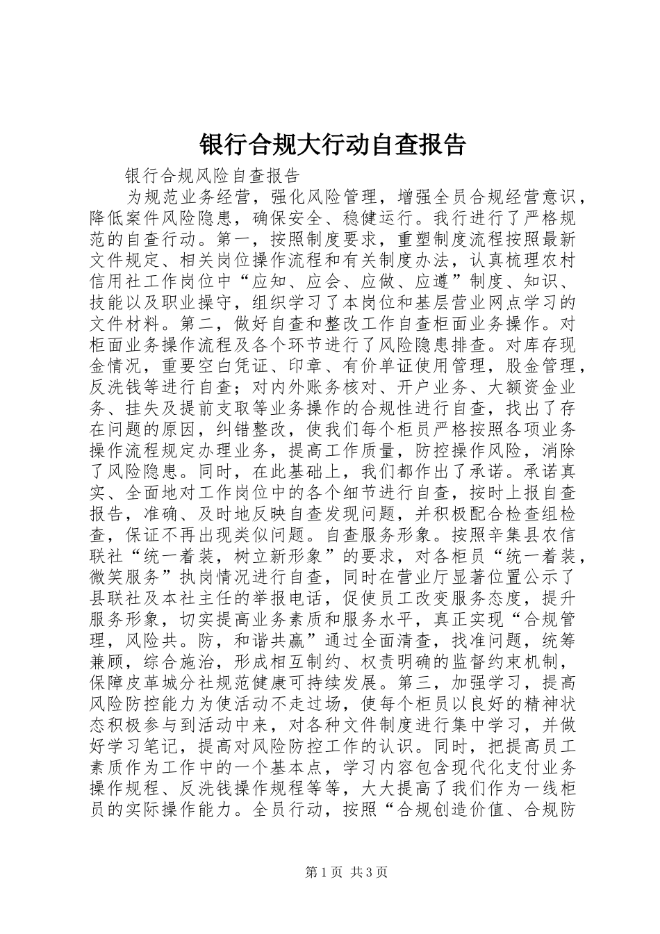 银行合规大行动自查报告 _第1页