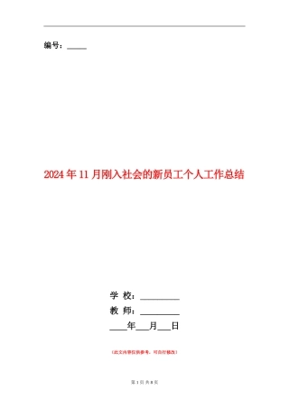 2024年11月刚入社会的新员工个人工作总结