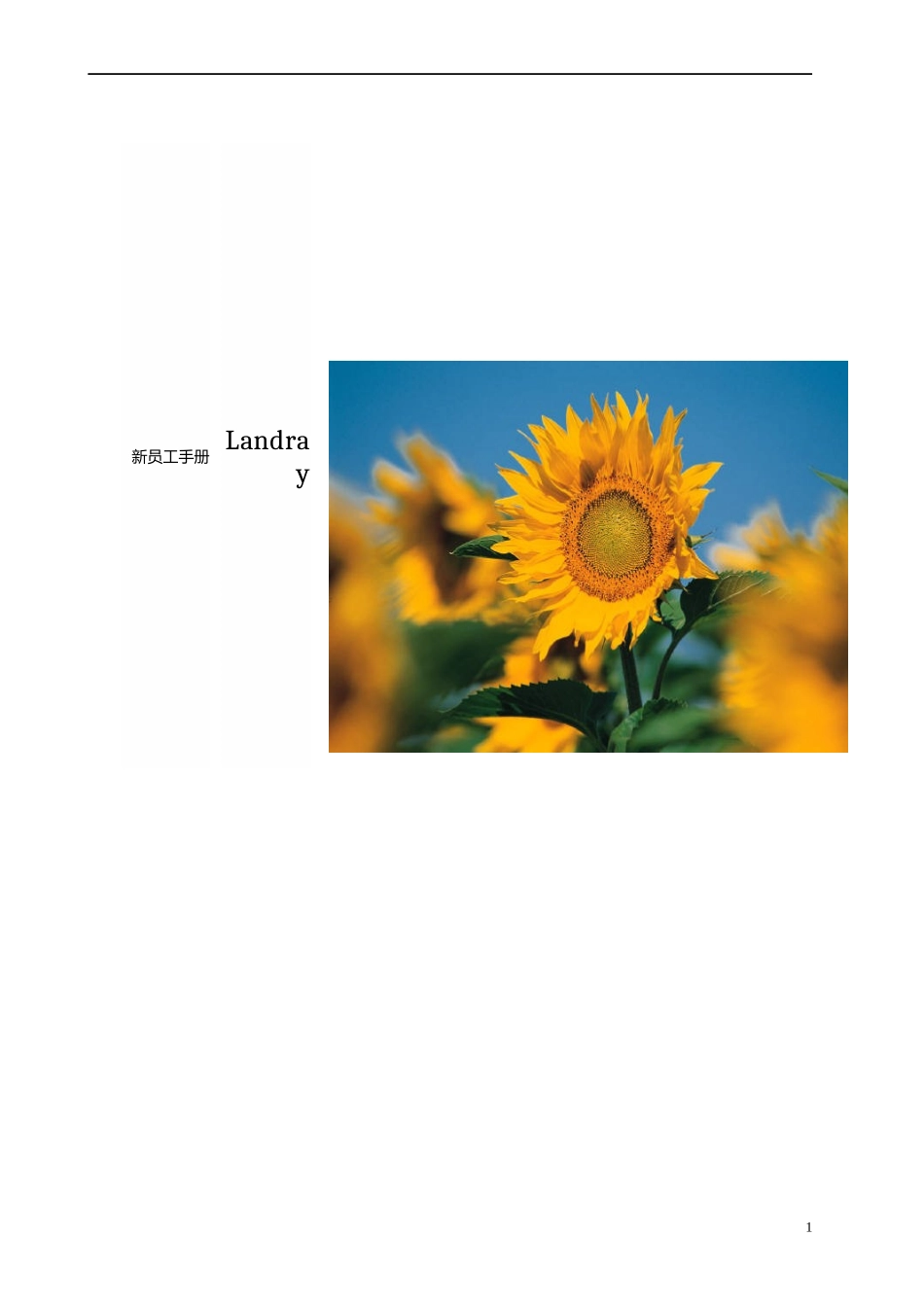 新员工手册范本_第1页