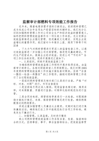 监察审计部燃料专项效能工作报告 