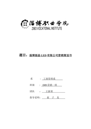 LED有限公司营销策划书