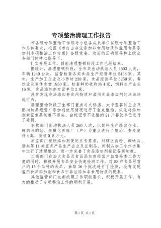 专项整治清理工作报告 