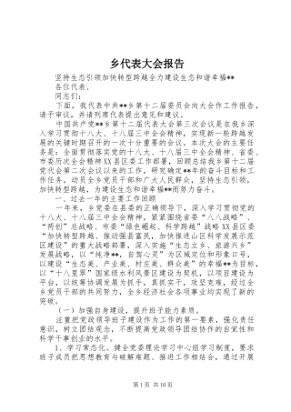 乡代表大会报告 