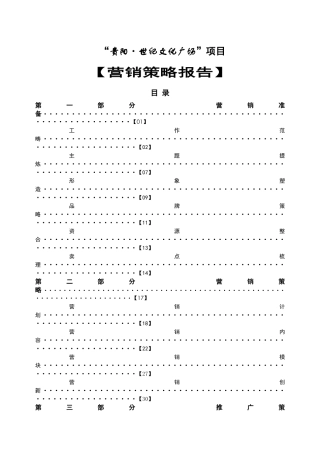 世纪文化广场商业项目营销策略报告（定稿）