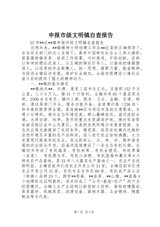 申报市级文明镇自查报告 