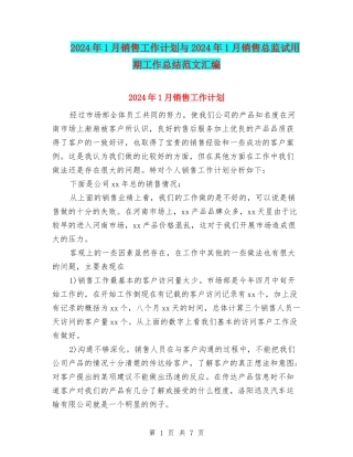 2024年1月销售工作计划与2024年1月销售总监试用期工作总结范文汇编