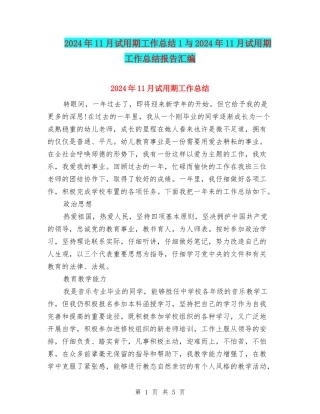2024年11月试用期工作总结1与2024年11月试用期工作总结报告汇编
