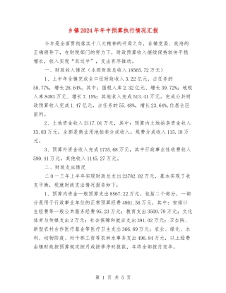乡镇2024年年中预算执行情况汇报