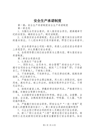 安全生产承诺规章制度 