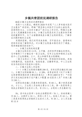 乡镇共青团状况调研报告 