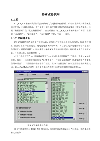 ZXJ10(V10)交换机 特殊业务使用