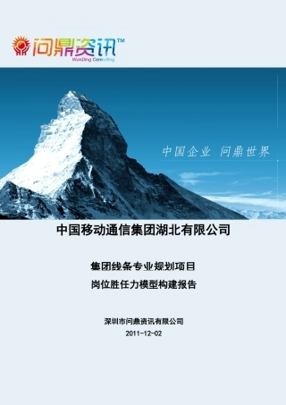 某集团线条岗位胜任力模型构建报告