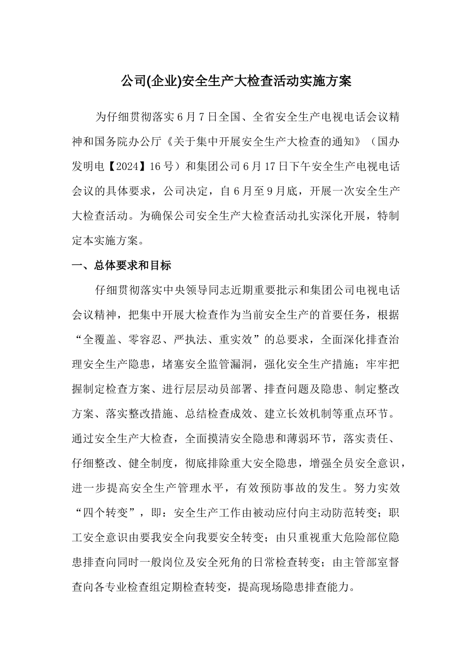 公司安全生产大检查活动实施方案_第1页