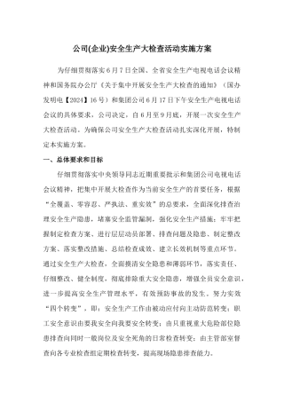 公司安全生产大检查活动实施方案