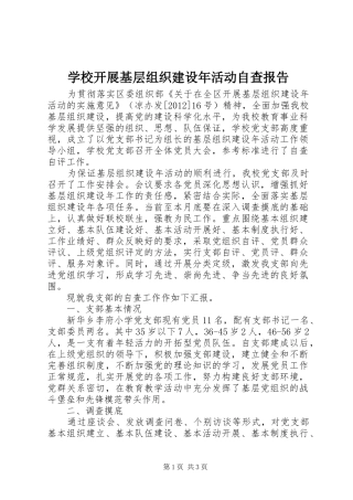 学校开展基层组织建设年活动自查报告 