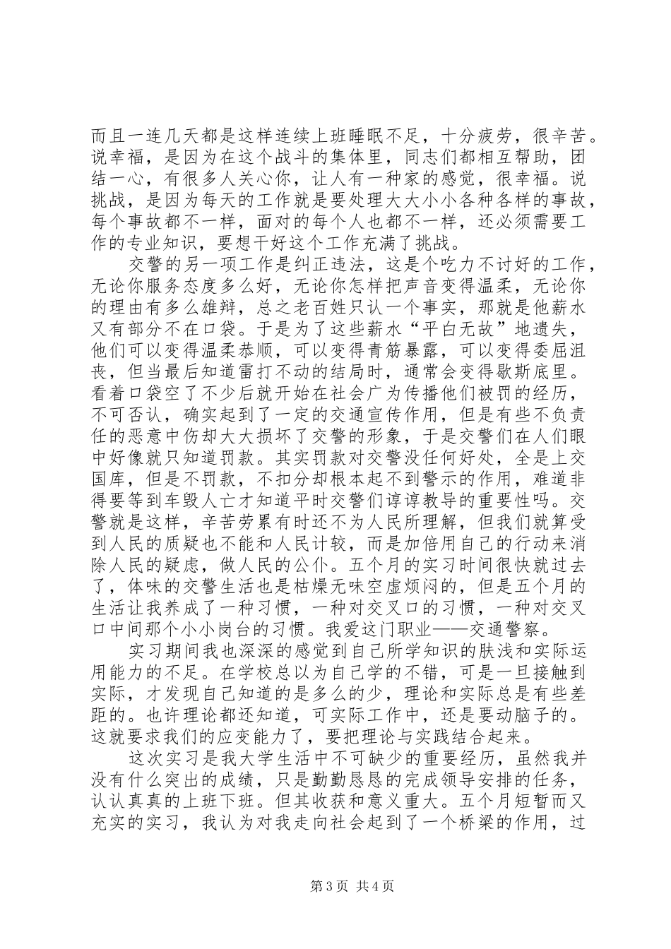 交警队问题报告 _第3页