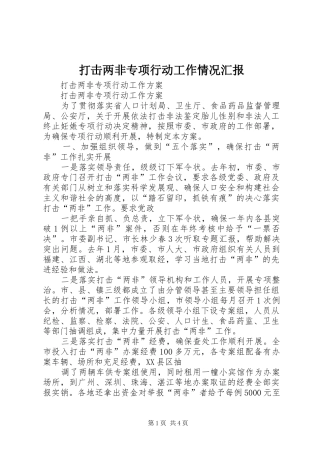 打击两非专项行动工作情况汇报 