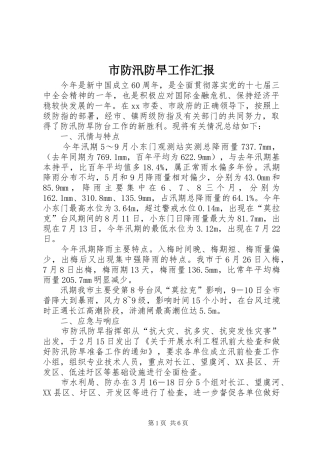 市防汛防旱工作汇报 