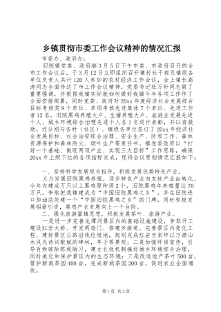 乡镇贯彻市委工作会议精神的情况汇报 