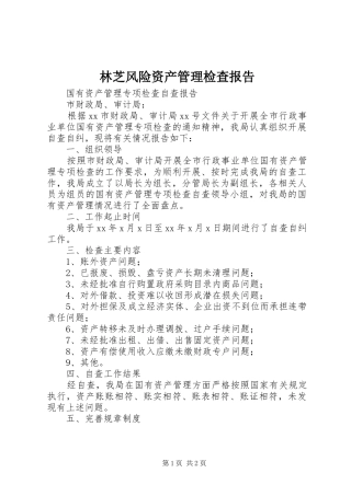 林芝风险资产管理检查报告 