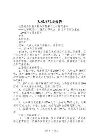大柳坝河堤报告 