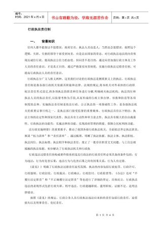 行政执法过错责任