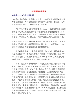 埃里森的成功历程