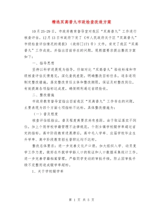 双高普九市政检查改造方案