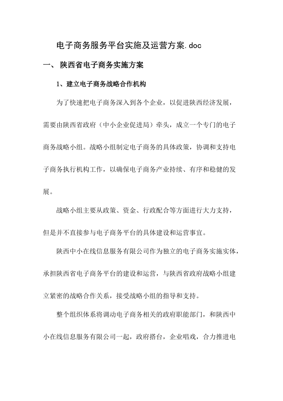 商业电商服务平台实施及运营方案_第1页