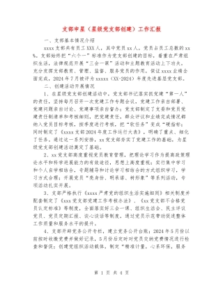 支部申星工作汇报