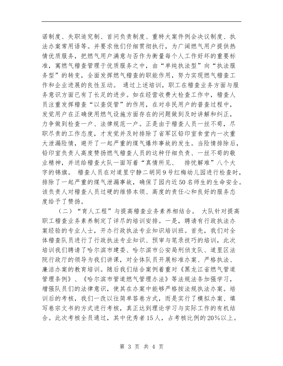 燃气稽查大队工作总结_第3页